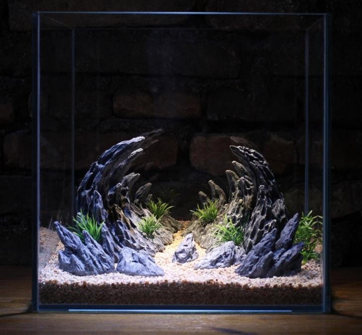 Aquarium Dragon Layer Decoration – Kitty&Koi - Layered Glass Bottom Aquarium Decoration