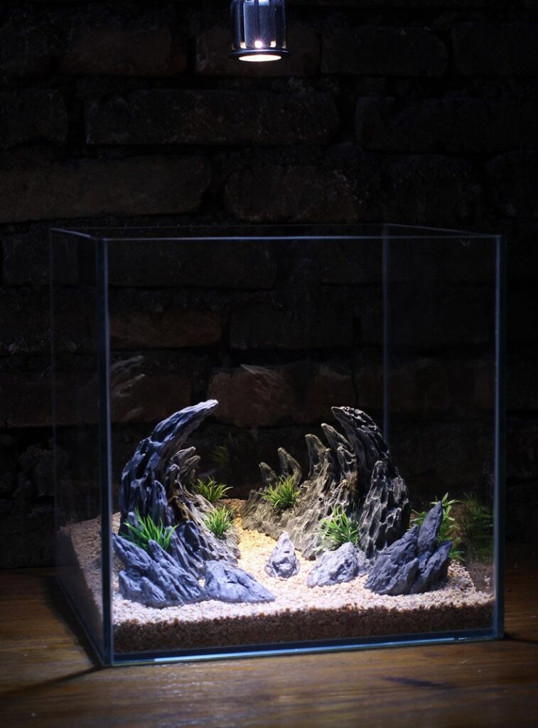 Aquarium Dragon Layer Decoration – Kitty&Koi - Layered Glass Bottom Aquarium Decoration