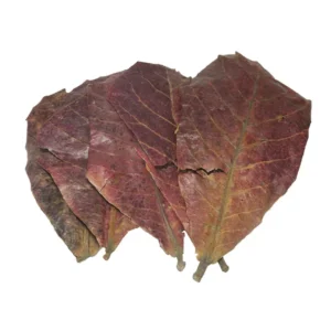 Aquarium Catappa Almond Leaves